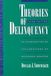 Stock image for Theories of Delinquency: An Explanation of Delinquent Behavior for sale by BombBooks