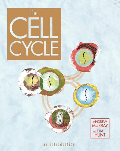 Imagen de archivo de The Cell Cycle : An Introduction a la venta por Better World Books