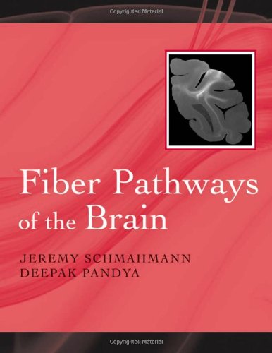 Stock image for Fiber Pathways of the Brain for sale by ThriftBooks-Atlanta