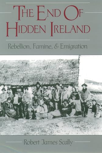 Stock image for The End of Hidden Ireland: Rebellion, Famine, and Emigration for sale by Chiron Media