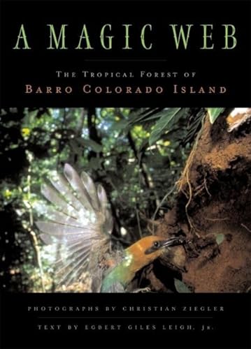 A Magic Web: The Forest of Barro Colorado Island