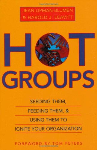 Stock image for Hot Groups : Seeding Them, Feeding Them, and Using Them to Ignite Your Organization for sale by Better World Books