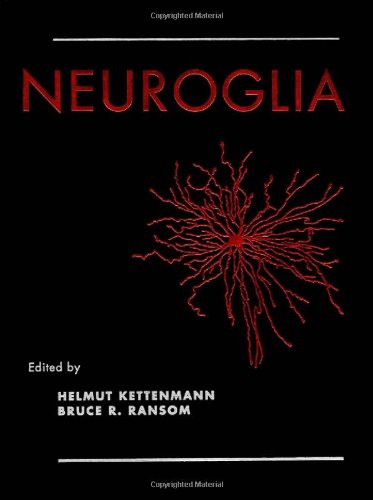Stock image for Neuroglia for sale by Irish Booksellers