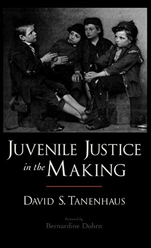 Beispielbild fr Juvenile Justice in the Making (Studies in Crime and Public Policy) zum Verkauf von Bellwetherbooks