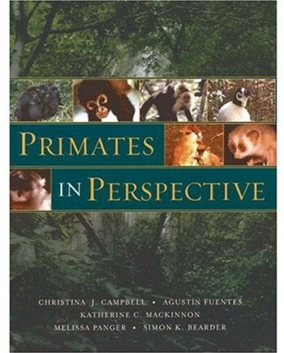 Beispielbild fr Primates in Perspective zum Verkauf von BooksRun