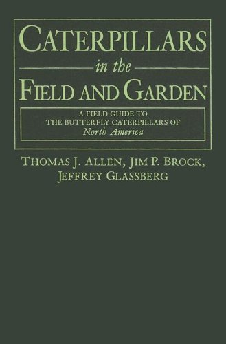 Beispielbild fr Caterpillars in the Field and Garden : A Field Guide to the Butterfly Caterpillars of North America zum Verkauf von Better World Books