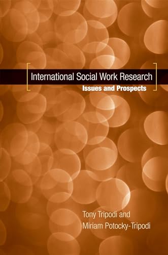 Stock image for International Social Work Research: Issues and Prospects for sale by HPB-Movies