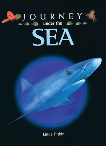 Stock image for Journey Under the Sea for sale by ThriftBooks-Dallas