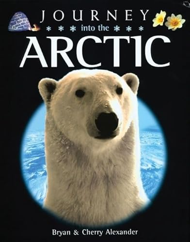 Journey into the Arctic