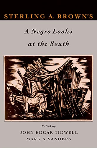 Stock image for Sterling A. Brown's A Negro Looks at the South for sale by Ergodebooks