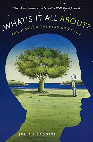 Stock image for What's It All About?: Philosophy and the Meaning of Life for sale by SecondSale