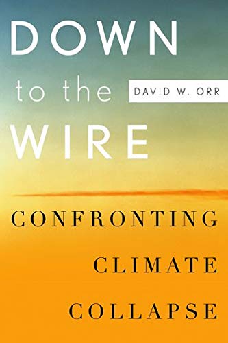 Imagen de archivo de Down to the Wire: Confronting Climate Collapse a la venta por Wonder Book