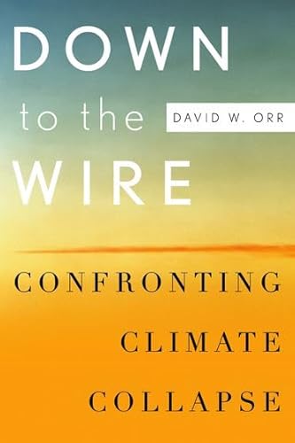 Stock image for Down to the Wire: Confronting Climate Collapse for sale by Wonder Book