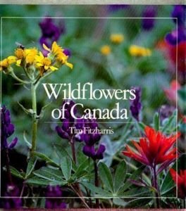 Stock image for Wildflowers of Canada for sale by Martin Kaukas Books