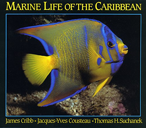 Beispielbild fr Marine Life of the Caribbean zum Verkauf von ThriftBooks-Atlanta