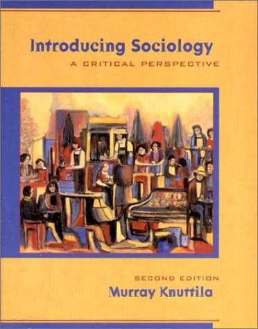 Stock image for Introducing Sociology : A Critical Perspective for sale by Better World Books: West
