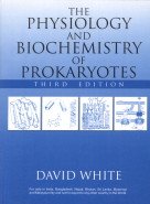 9780195687019: Physiology And Biochemistry Of Prokaryotes