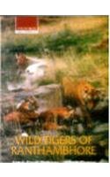 Beispielbild fr Wild Tigers of Ranthambhore zum Verkauf von AwesomeBooks