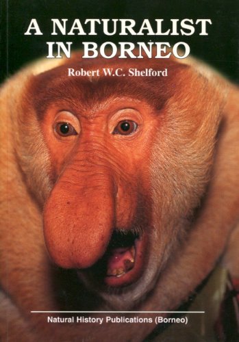 Stock image for A Naturalist in Borneo (Oxford Paperbacks) for sale by Greener Books