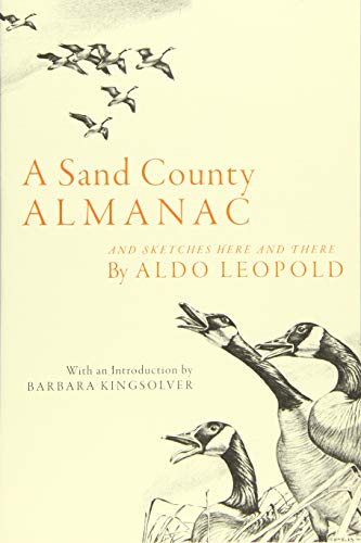 Stock image for A Sand County Almanac: And Sketches Here and There for sale by Goodwill Books