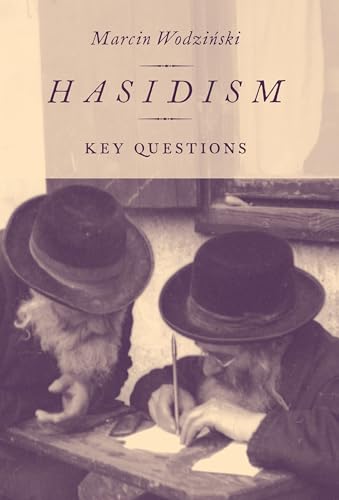 Stock image for Hasidism: Key Questions for sale by ThriftBooks-Dallas