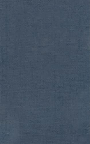 Imagen de archivo de Iliad, Books 13-24 (Oxford Classical Texts: Homeri Opera, Vol. 2) a la venta por SecondSale