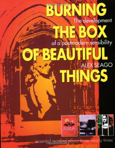 Beispielbild fr Burning the Box of Beautiful Things: The Development of a Postmodern Sensibility zum Verkauf von WorldofBooks
