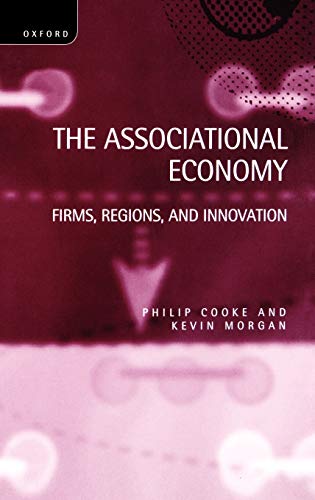 Stock image for The Associational Economy: Firms, Regions, and Innovation for sale by Ergodebooks