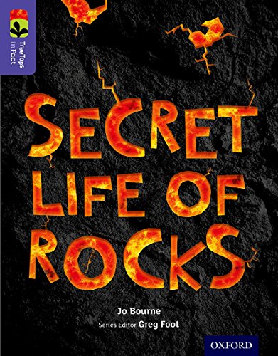 Beispielbild fr Secret Life of Rocks zum Verkauf von Blackwell's