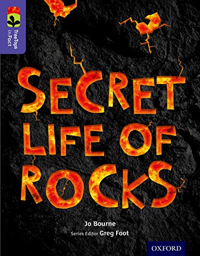 Imagen de archivo de Secret Life of Rocks a la venta por Blackwell's