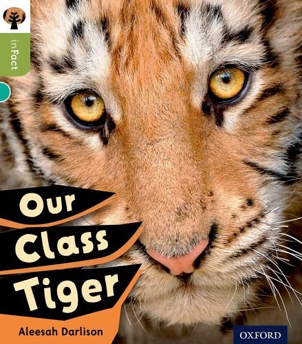 Stock image for Our Class Tiger for sale by Blackwell's