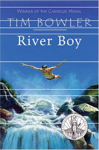 Stock image for Rollercoasters: River Boy Class Pack (Pack: Paperback books) for sale by Iridium_Books