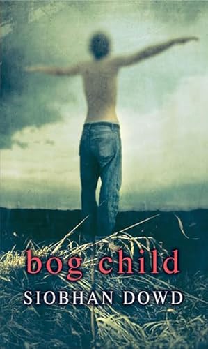 Stock image for Rollercoasters: Bog Child: Siobhan Dowd for sale by MusicMagpie