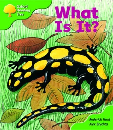 Stock image for Oxford Reading Tree: Stage 2: More Patterned Stories: What Is It?: Pack A for sale by Hippo Books