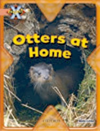 Imagen de archivo de Project X: My Home: Otters at Home a la venta por AwesomeBooks