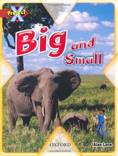 Beispielbild fr Project X: Big and Small: Big and Small zum Verkauf von WorldofBooks