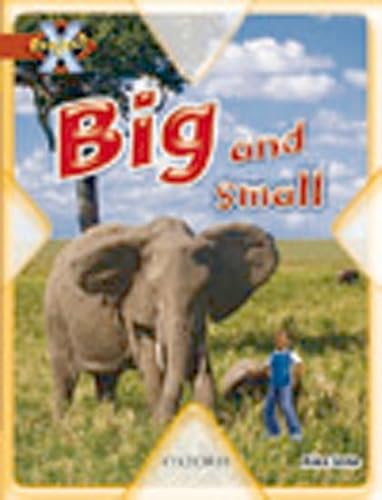 Stock image for Project X: Big and Small: Big and Small for sale by WorldofBooks