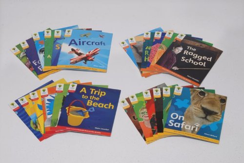 Imagen de archivo de Oxford Reading Tree: Floppy's Phonics Non Fiction: Easy Buy Pack: Year 1 (Pack) a la venta por Iridium_Books