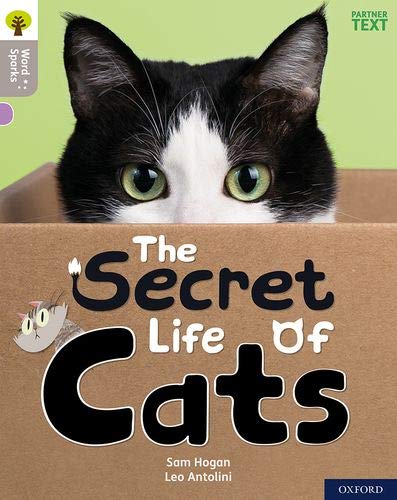 Imagen de archivo de Oxford Reading Tree Word Sparks: Level 1: The Secret Life of Cats a la venta por AwesomeBooks