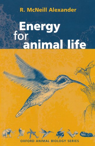 Stock image for Energy For Animal Life (Oxford Animal Biology Series) for sale by WorldofBooks