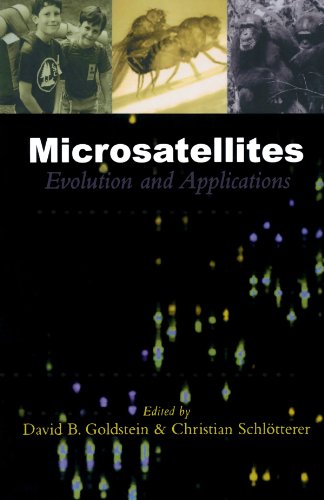 Imagen de archivo de Microsatellites: Evolution and Applications a la venta por WorldofBooks