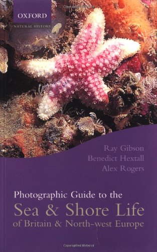 Beispielbild fr Photographic Guide to Sea and Shore Life of Britain and North-west Europe zum Verkauf von MusicMagpie