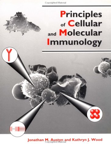 Beispielbild fr Principles of Cellular and Molecular Immunology zum Verkauf von Rob the Book Man