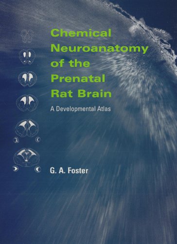 9780198542179: Chemical Neuroanatomy of the Prenatal Rat Brain: A Developmental Atlas