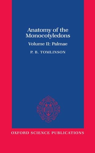 Stock image for Anatomy of the Monocotyledons, Vol. 2: Palmae for sale by Phatpocket Limited