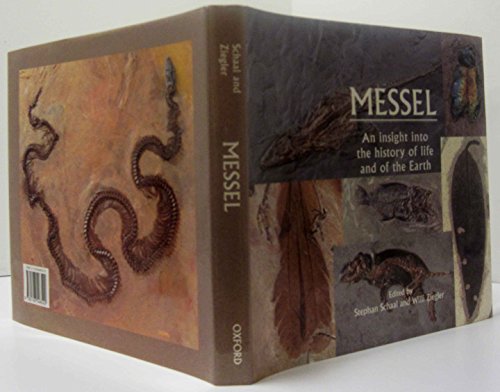 Messel: An Insight into the History of Life and of the Earth