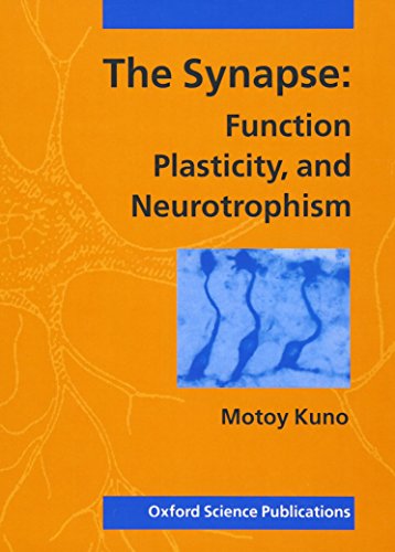 Stock image for The Synapse : Function, Plasticity, and Neurotrophism for sale by Better World Books