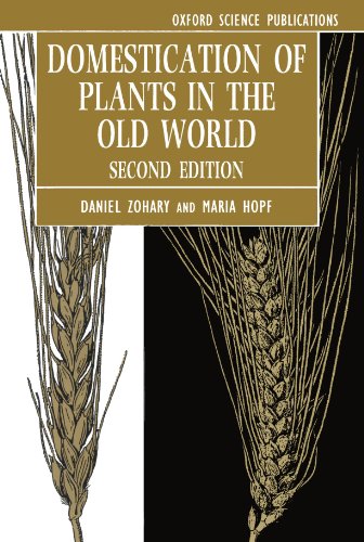 Stock image for Domestication of Plants in the Old World : The Origin and Spread of Cultivated Plants in West Asia, Europe, and the Nile Valley for sale by Better World Books Ltd