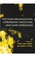 Stock image for Nuclear Organization, Chromatin Structure, and Gene Expression for sale by Better World Books Ltd