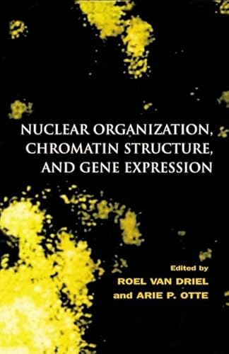 Stock image for Nuclear Organization, Chromatin Structure, and Gene Expression for sale by RIVERLEE BOOKS